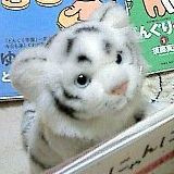 Hello, I'm a whitetiger!