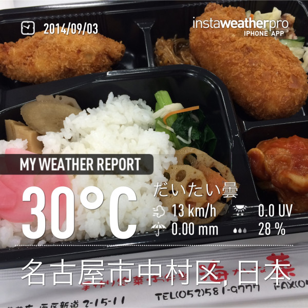 海菜のバイキング弁当、いろいろ詰めてちょうど500円だった。