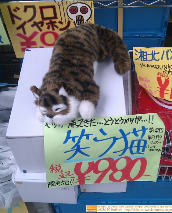 「ヤツが帰ってきた…とうとうヤツが…!! 笑う猫 笑いながら転げ回りマス…けっこうキモいです 税込￥980 限定5台!!」イオシス アキバ中央通り店