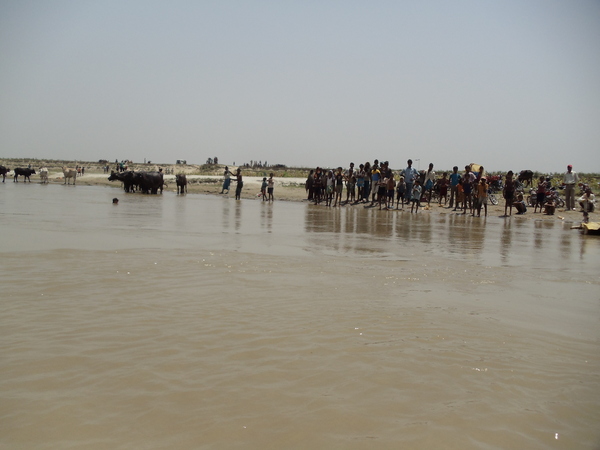 Kosi River near a ferry landing.  A difficult area for polio prevention, but real progress being made...